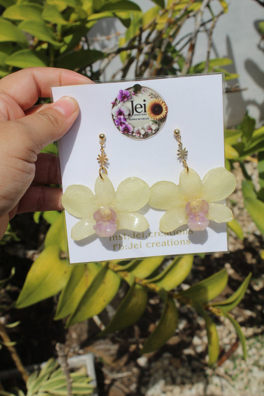 Baby yellow orchid earings