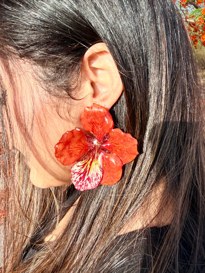 Flamboyant Blaze Stud Earrings