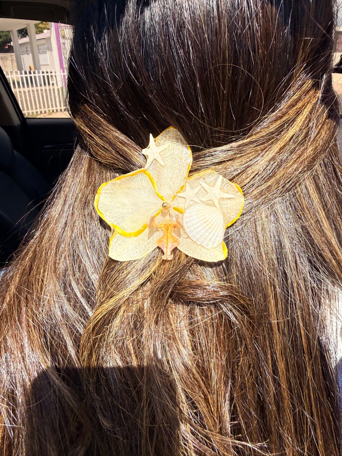 Phalaenopsis hair clip