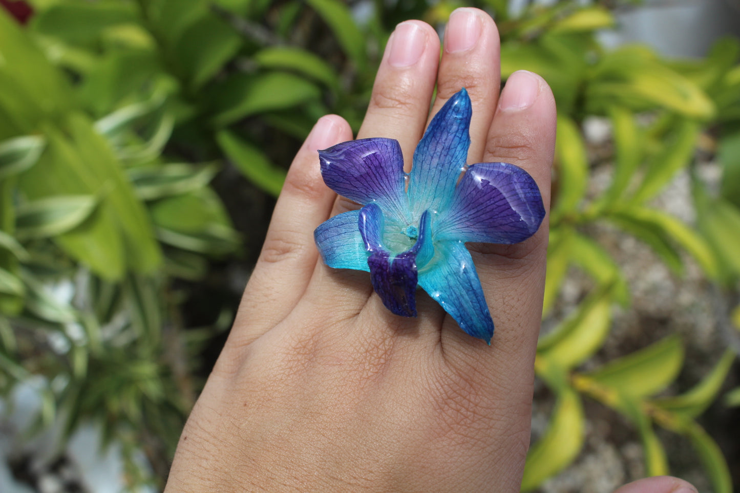 Blue Orchid ring