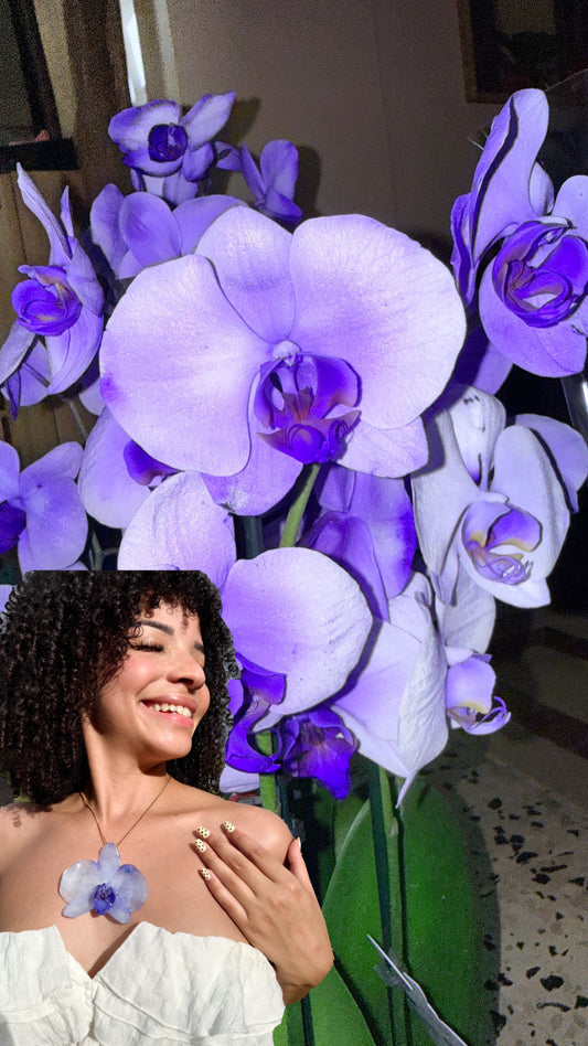Midnight Blue Orchid(bundle)