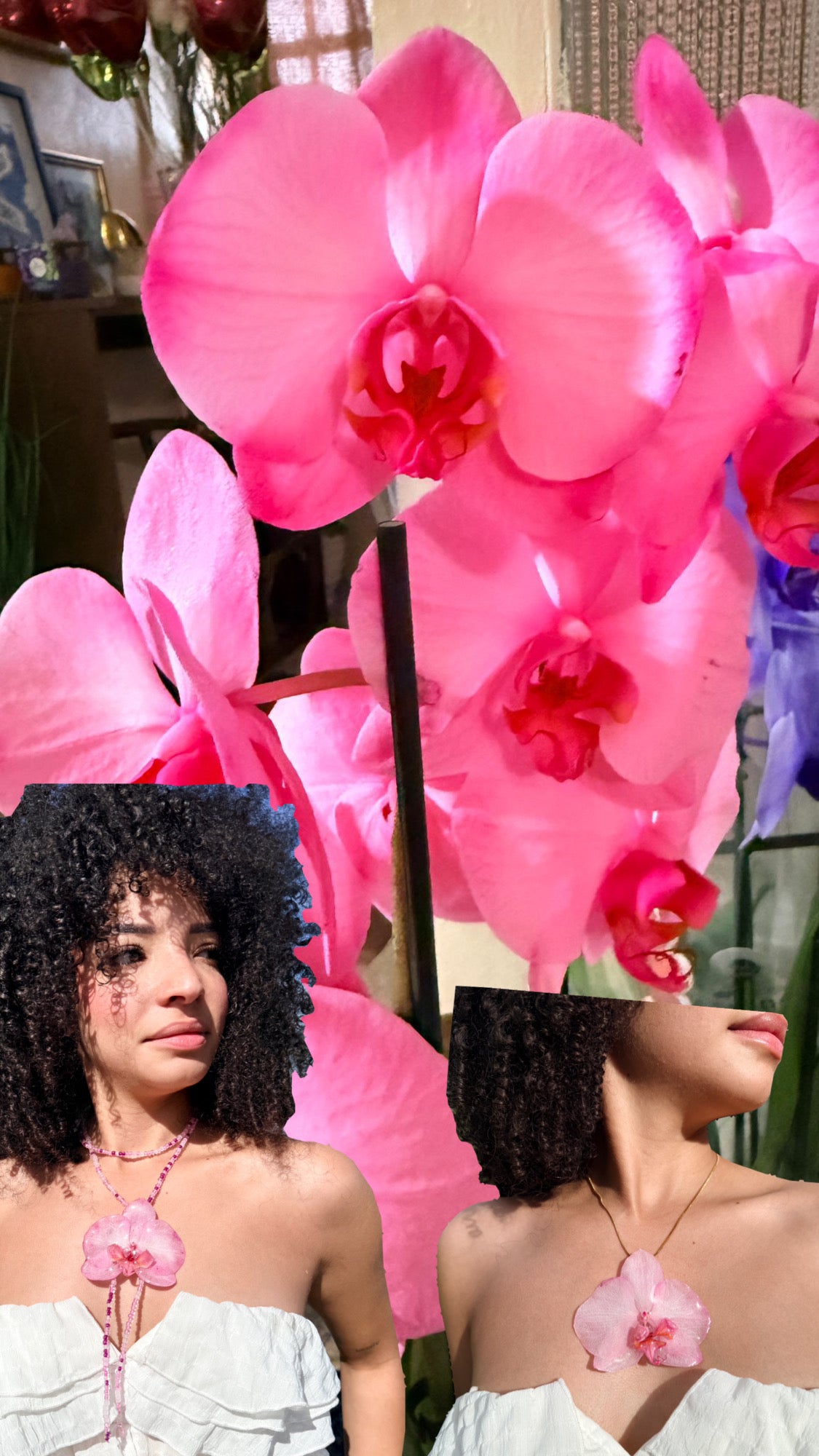 Love Orchid Bundle